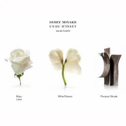 Issey Miyake L'Eau D'Issey Eau De Toilette Spray 50ml 8 Issey Miyake L'Eau D'Issey Eau De Toilette Spray 50ml -Dermalogica Sale Store 10546257 1835058525798126