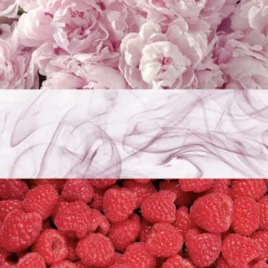 Calvin Klein Eternity Moment Eau De Parfum 50ml -Dermalogica Sale Store 11210302 8405058498232122