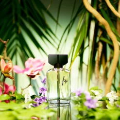 Guy Laroche Fidji Eau De Toilette Spray 50ml 7 Guy Laroche Fidji Eau De Toilette Spray 50ml -Dermalogica Sale Store 11210560 1525058529341672