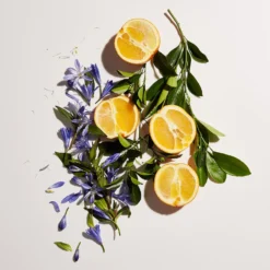 Philosophy Anti-Wrinkle Miracle Worker+ Overnight Cream 60ml -Dermalogica Sale Store 12018816 1835058514079592