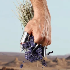 Dolce & Gabbana Dolce&Gabbana K Eau De Toilette Spray 100ml -Dermalogica Sale Store 12270177 7605058516563568