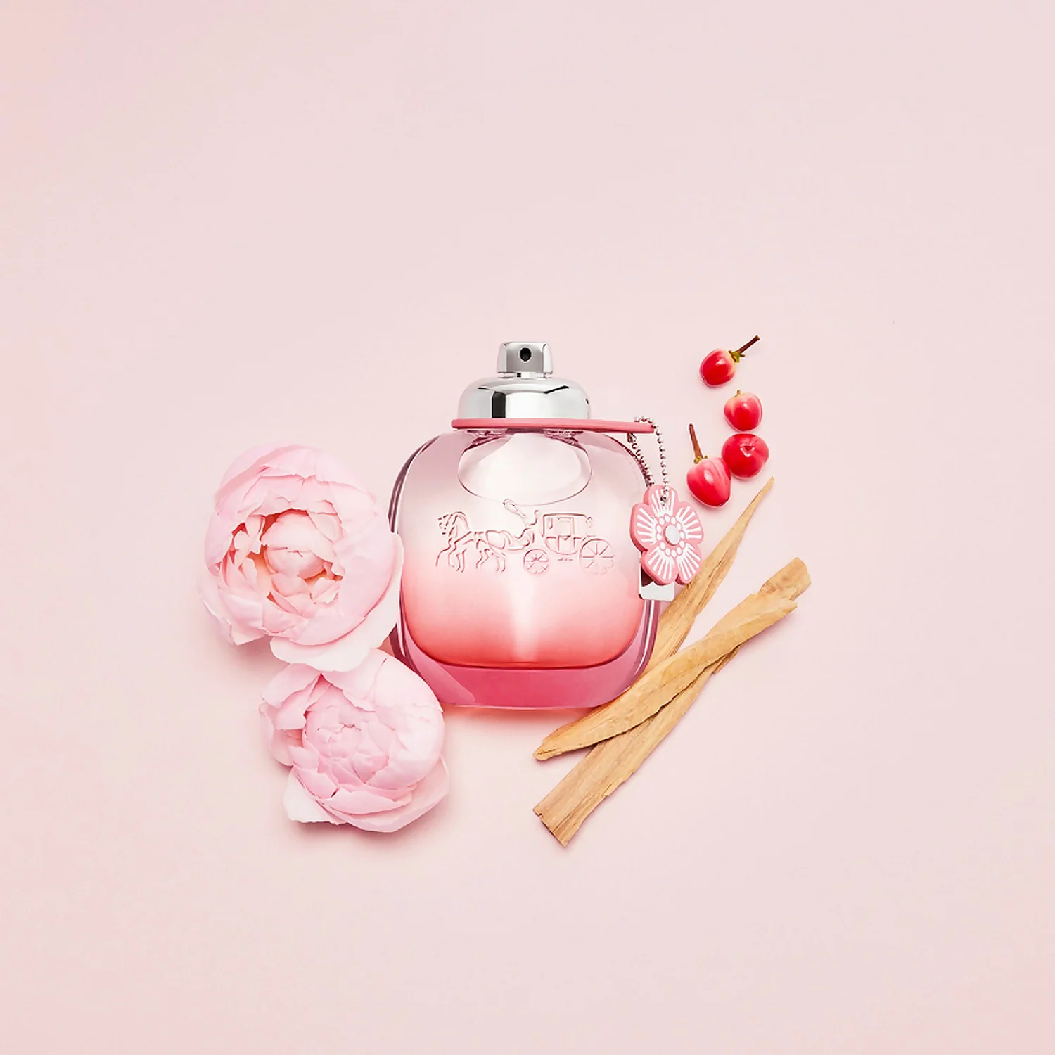 Coach Floral Blush Eau De Parfum Spray 50ml 3 Coach Floral Blush Eau De Parfum Spray 50ml - Image 3