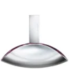 Calvin Klein Euphoria Eau De Parfum 100ml