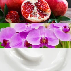 Calvin Klein Euphoria Eau De Parfum 50ml -Dermalogica Sale Store 12872605 1015058529147050