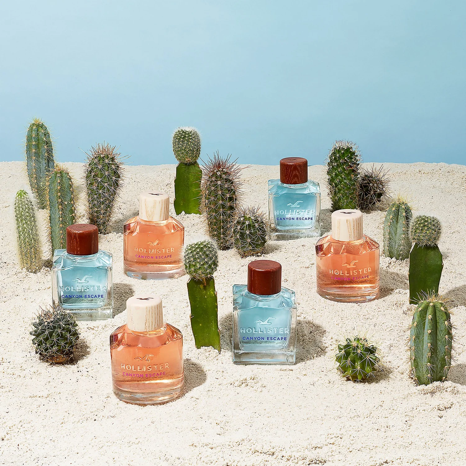 Hollister Canyon Escape For Her Eau De Parfum Spray 100ml 4 Hollister Canyon Escape For Her Eau De Parfum Spray 100ml - Image 4