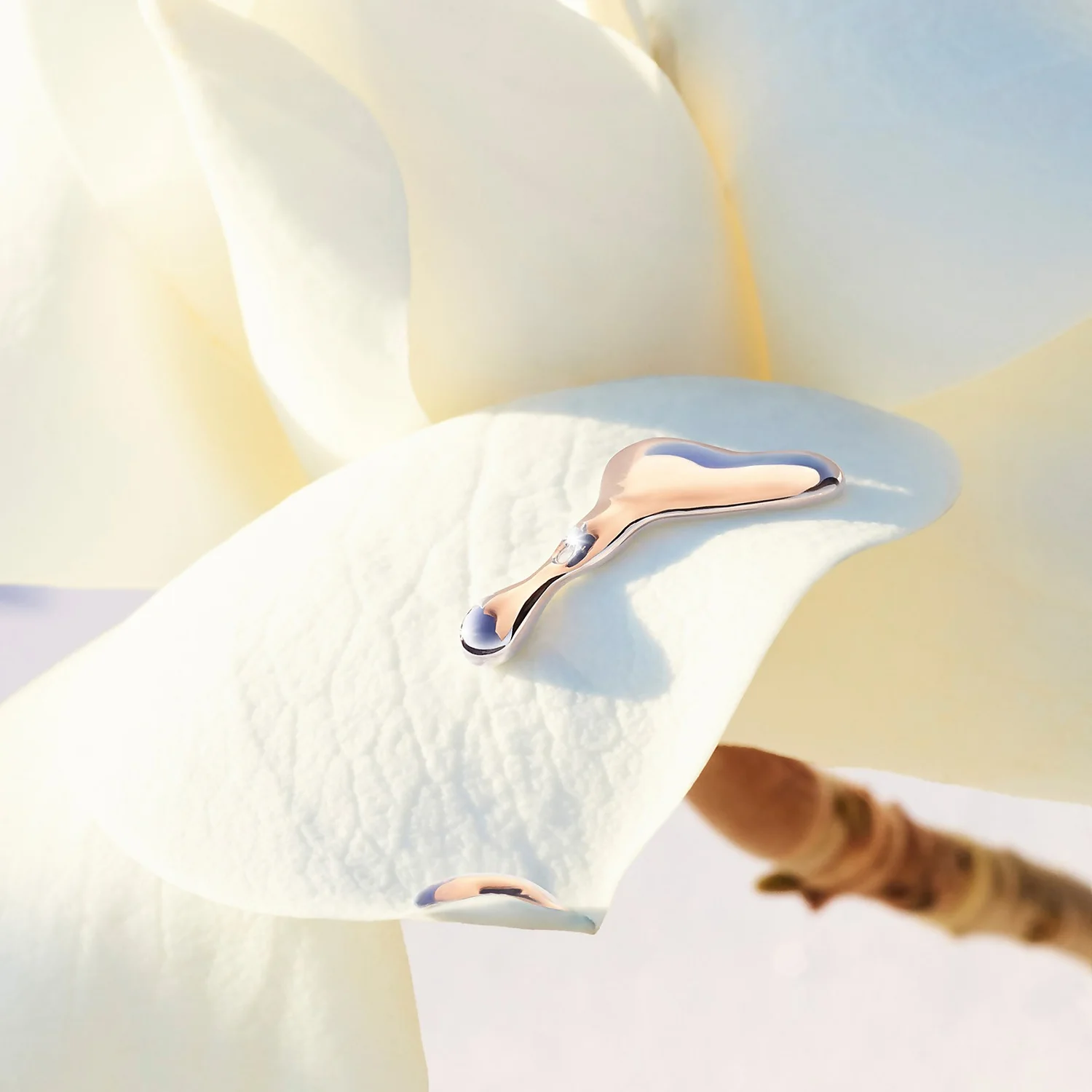 HUGO BOSS BOSS Alive For Her Eau De Toilette 80ml 5 HUGO BOSS BOSS Alive For Her Eau De Toilette 80ml - Image 5