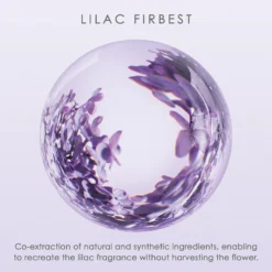 Issey Miyake A Drop D’Issey Eau De Parfum Spray 50ml Gift Set -Dermalogica Sale Store 13204753 3175058535580637