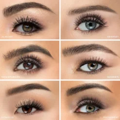 House Of Lashes Premium Collection Boudoir -Dermalogica Sale Store 13226342 5975058496877088