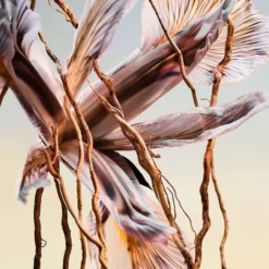 Bulgari MAN Terrae Essence Eau De Parfum Spray 60ml -Dermalogica Sale Store 13442411 1475058537227061