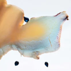 Bulgari Man Glacial Essence Eau De Parfum Spray 60ml -Dermalogica Sale Store 13442413 1975058499280862