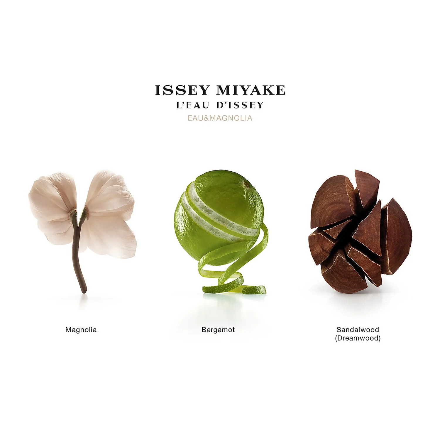 Issey Miyake L’Eau D’Issey Eau & Magnolia Intense Eau De Toilette Spray 50ml 3 Issey Miyake L’Eau D’Issey Eau & Magnolia Intense Eau De Toilette Spray 50ml - Image 3