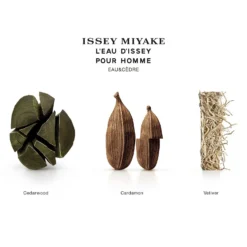 Issey Miyake L'Eau D'Issey Pour Homme Eau & Cèdre Eau De Toilette Spray 100ml -Dermalogica Sale Store 13491249 1945058501039675