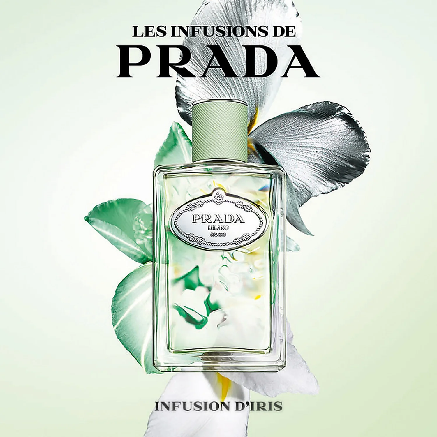 Prada Infusion D'Iris Eau De Parfum Spray 30ml 4 Prada Infusion D'Iris Eau De Parfum Spray 30ml - Image 4