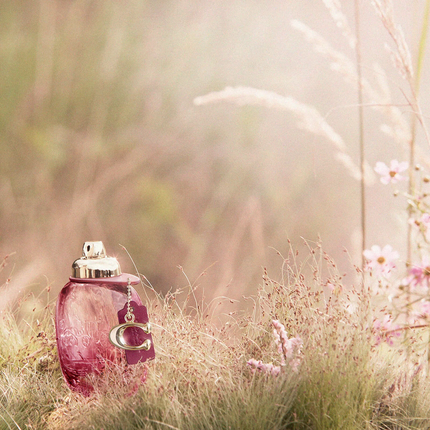 Coach Wild Rose Eau De Parfum Spray 30ml 2 Coach Wild Rose Eau De Parfum Spray 30ml - Image 2