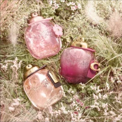 Coach Wild Rose Eau De Parfum Spray 90ml -Dermalogica Sale Store 13722481 1535058517048920