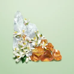 Prada Paradoxe Eau De Parfum Spray 50ml -Dermalogica Sale Store 13765257 4265058487404450