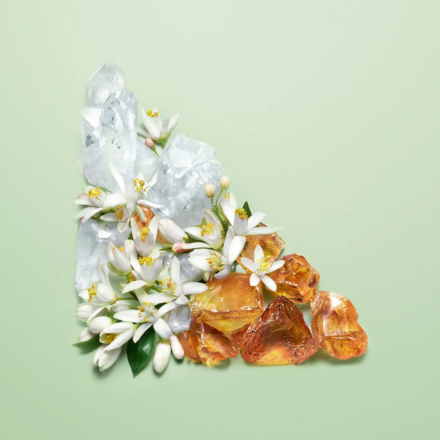 Prada Paradoxe Eau De Parfum Spray 90ml 3 Prada Paradoxe Eau De Parfum Spray 90ml - Image 3