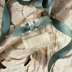 Chloé Rose Naturelle Intense Eau De Parfum Spray 30ml -Dermalogica Sale Store 13996125 1065058493259460