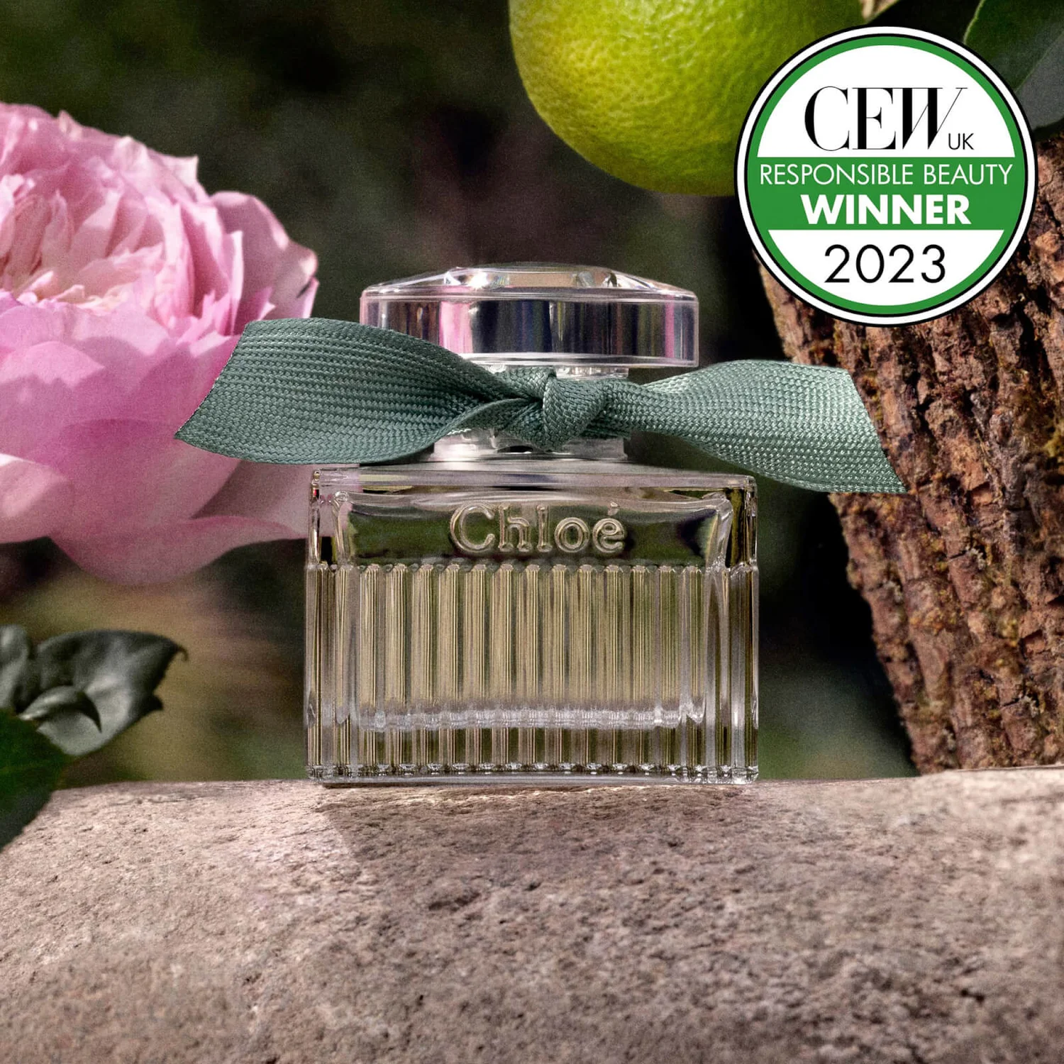 Chloé Rose Naturelle Intense Eau De Parfum Spray 50ml 6 Chloé Rose Naturelle Intense Eau De Parfum Spray 50ml - Image 6