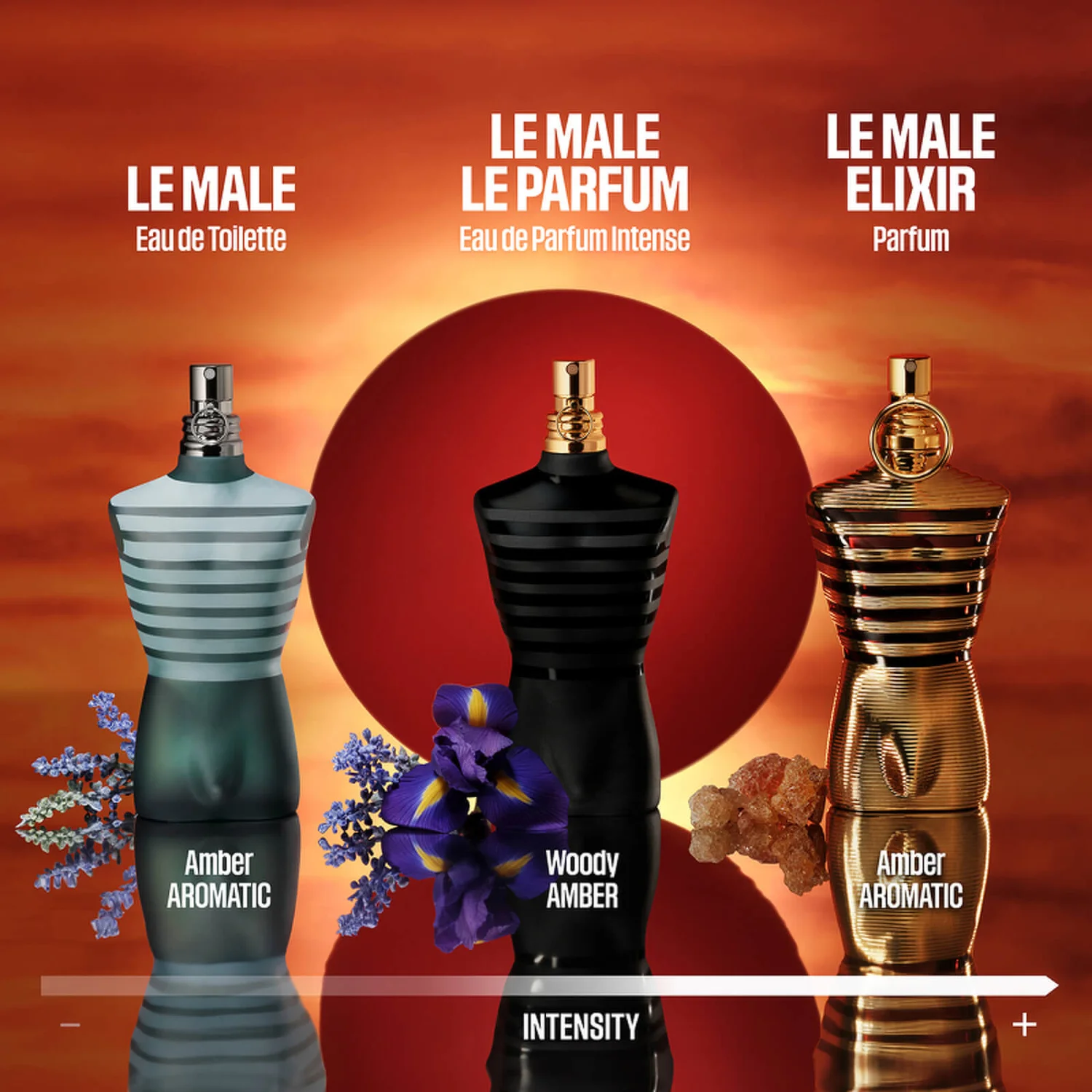 Jean Paul Gaultier Le Male Elixir Parfum Spray 75ml 4 Jean Paul Gaultier Le Male Elixir Parfum Spray 75ml - Image 4