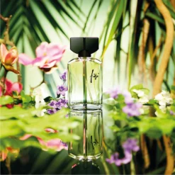 Guy Laroche Fidji Eau De Parfum Spray 50ml -Dermalogica Sale Store 14598611 2095058524771028