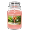 Yankee Candle Original Jar Candles Large The Last Paradise 623g