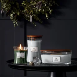 WoodWick Ellipse Candles Magnolia Birch 453.6g / 16 Oz. -Dermalogica Sale Store 14604478 1585058481623009