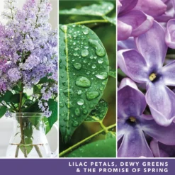 Yankee Candle Signature Jar Candle Large Jar Lilac Blossoms 567g -Dermalogica Sale Store 14605403 1095058475740873