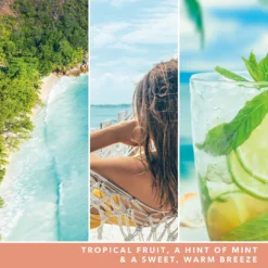 Yankee Candle Signature Jar Candle Large Jar Tropical Breeze 567g -Dermalogica Sale Store 14605430 3075058533172897