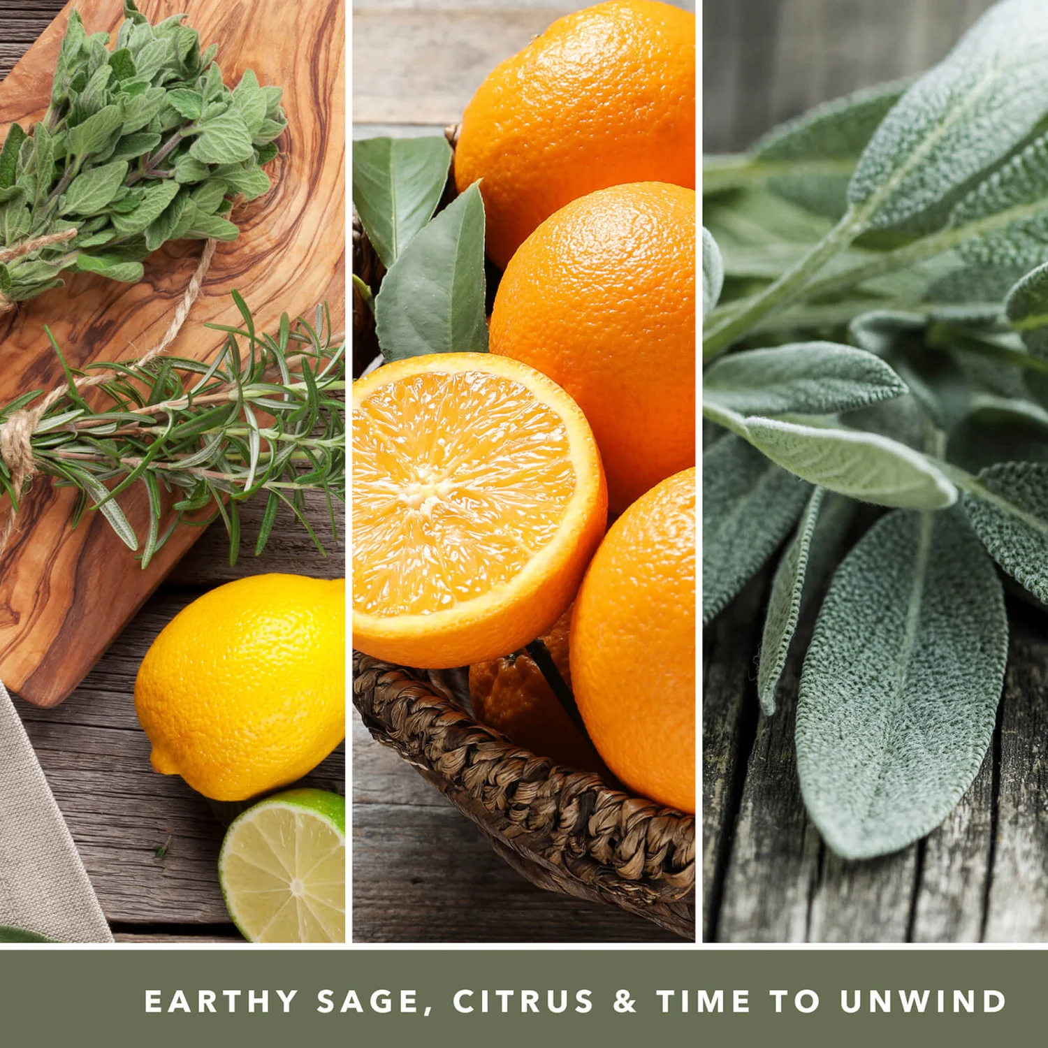 Yankee Candle Signature Jar Candle Large Tumbler Sage And Citrus 567g 3 Yankee Candle Signature Jar Candle Large Tumbler Sage And Citrus 567g - Image 3