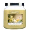 Wax Lyrical Colony Medium Candle Jar Sweet Honeysuckle