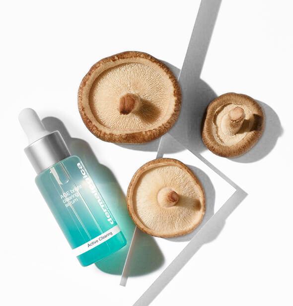 Dermalogica Sale Store 37 Dermalogica Sale Store -Dermalogica Sale Store age bright clearing serum 246 01c 590x617 c23ea4f0 91b4 4dd7 a11d 83d3e46e3a77